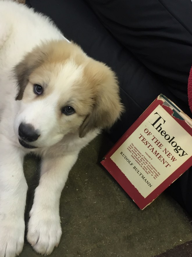 2016-06-03 06.29.58.jpg