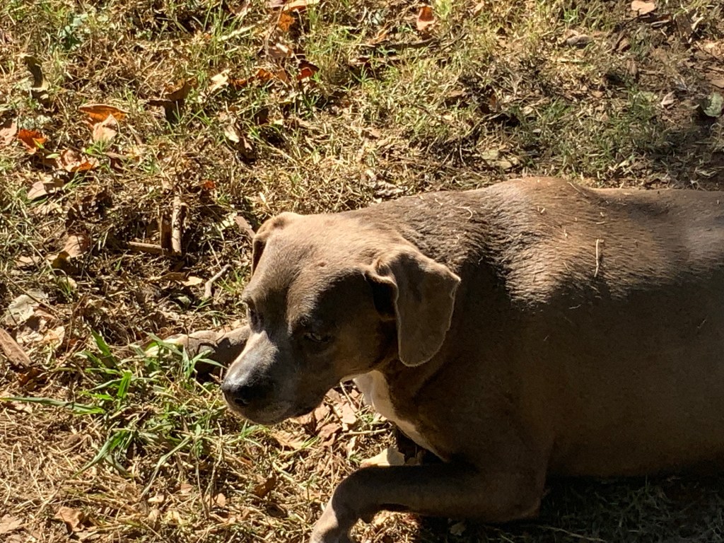 image_8be64d9f-285f-4871-a100-6fb6ec451519